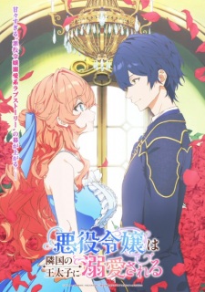 The Villainess Is Adored by the Prince of the Neighbor Kingdom (Dub)